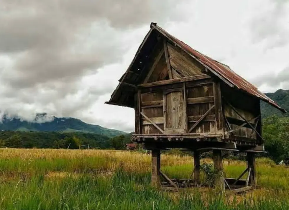 Tengkiang Tempat Penyimpanan Padi Suku Serawai Seluma