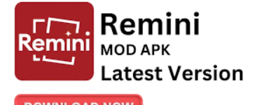 cover image dummy