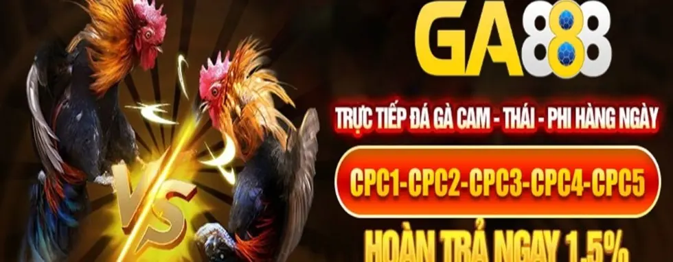 cover image dummy