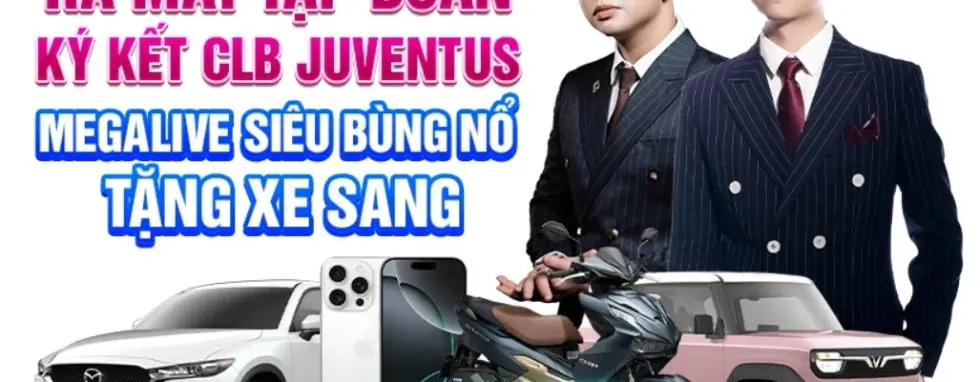 cover image dummy