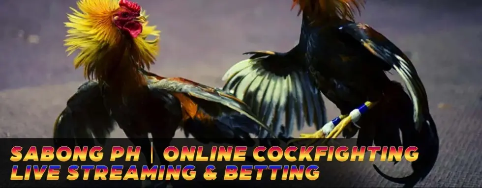 cover image dummy