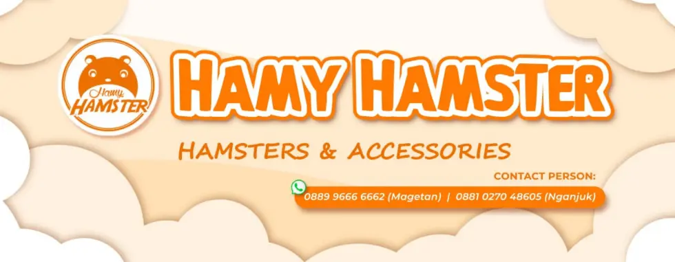cover image dummy