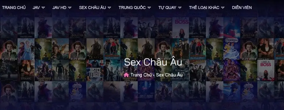 cover image dummy