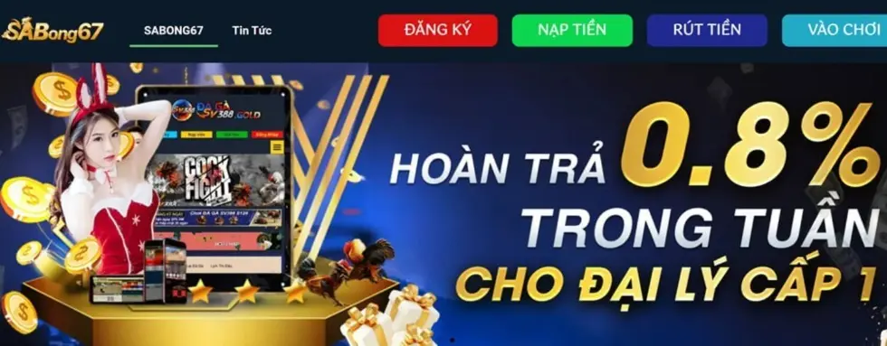 Trận đấu gà trên SV388