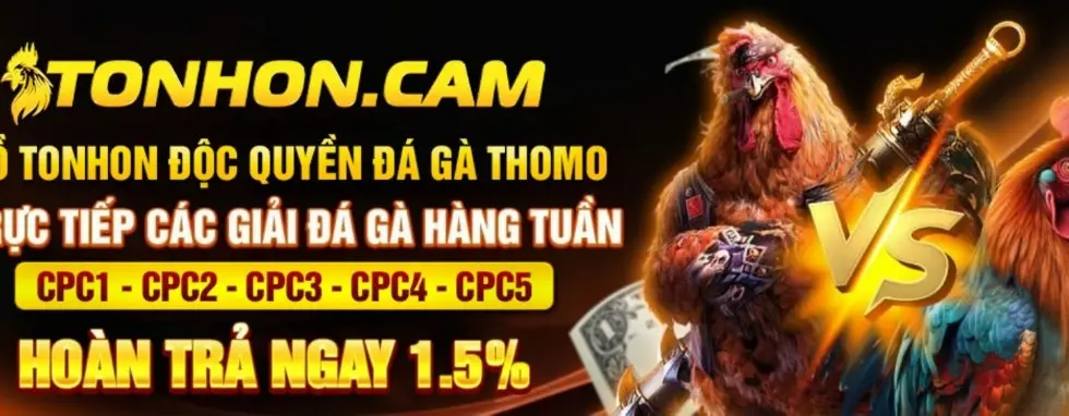 cover image dummy