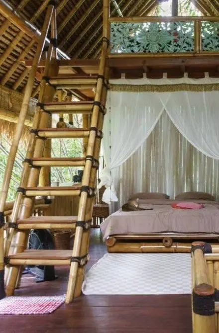 JUNGLE ROOM SUITES