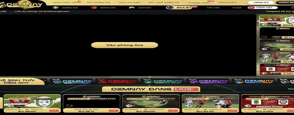 cover image dummy