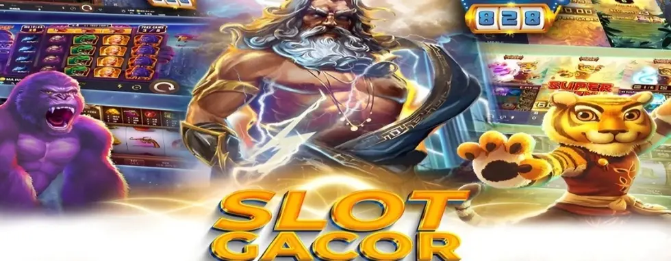 cover image dummy