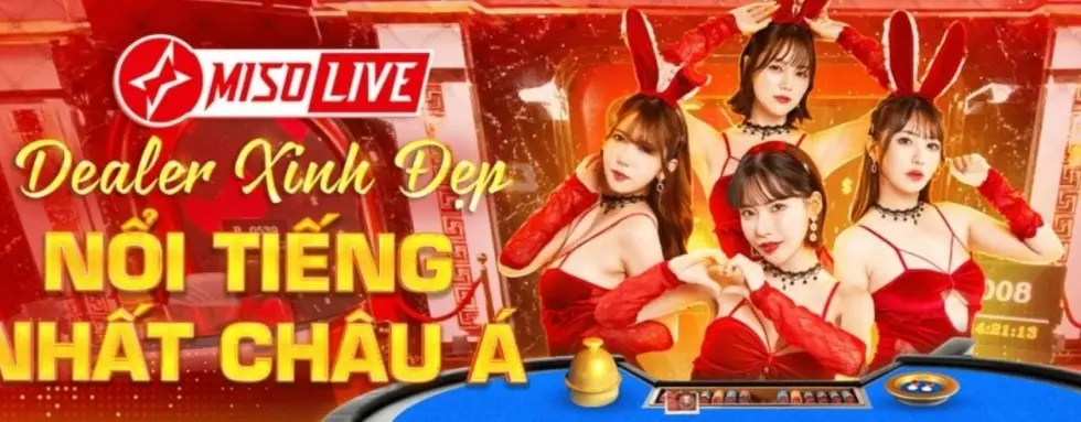 cover image dummy