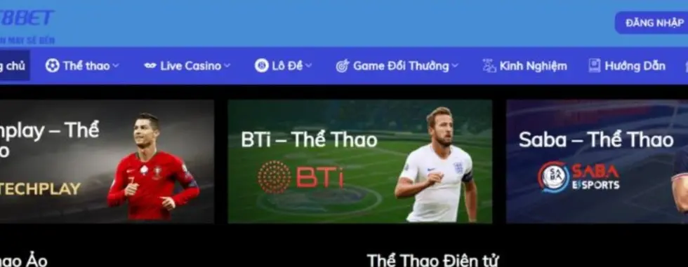 cover image dummy