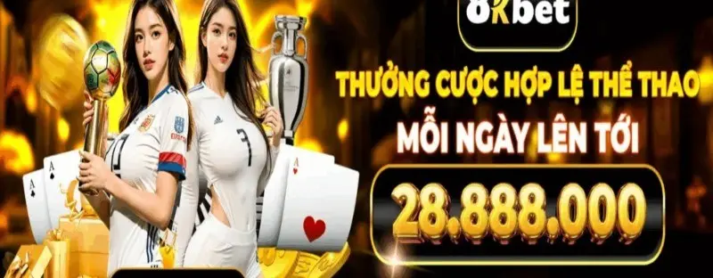cover image dummy